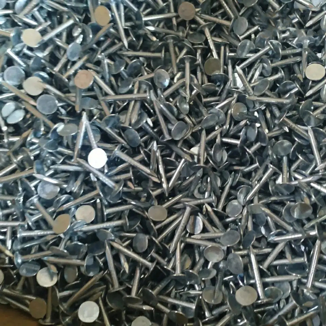 Waterproof Roof/Electric Galvanized/Round Head/Ring Diamond Tip/Linoleum Nails