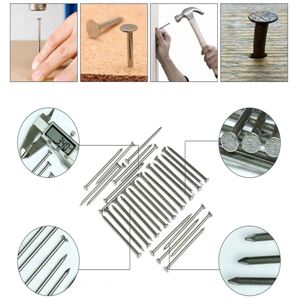 Q195 Material Flat Cap, Round Rod, Diamond Tip Common Nail