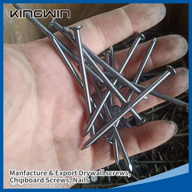 9g Galvanized Smooth Shank Umbrella Head Roofing Nails