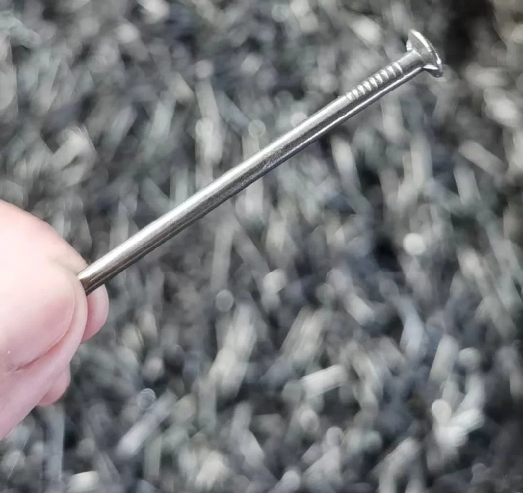 Polished Hardened Good Quality Common Nail/Single Head/Duplex Head Nails for Brazil Market