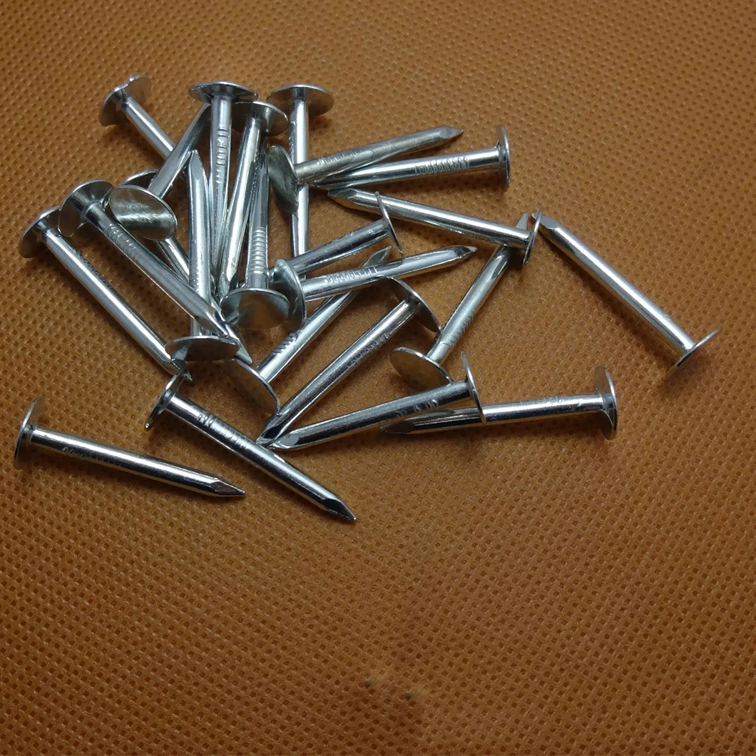 Waterproof Roof/Electric Galvanized/Round Head/Ring Diamond Tip/Linoleum Nails