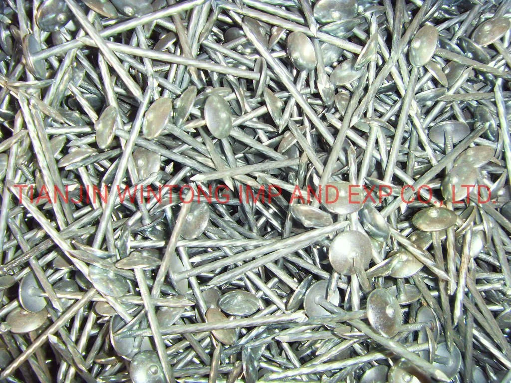 Wholesale Galvanized Smooth/Twisted Shank Q195 Galvanized Roofing Nails