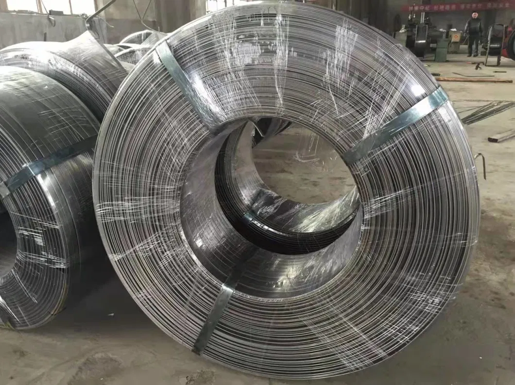 AISI 304 Cold Rolled Stainless Steel Flat Wire