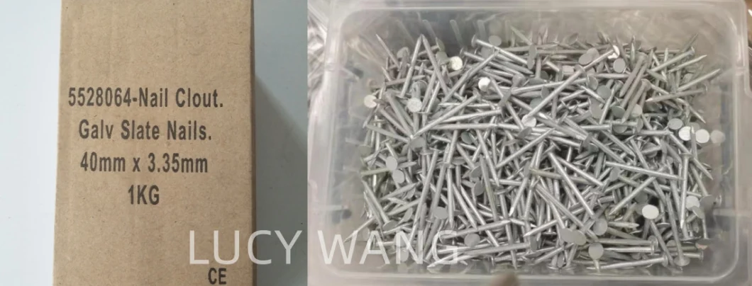 China Direct Factory Sale Large Head Roofing Nails Flat Clout Nails, Cupper Nail