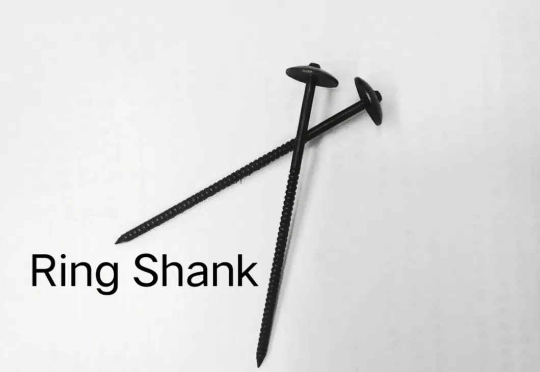 Model High Quality Galvanized Umbrella Roofing Nail Head Coated Twisted Shank