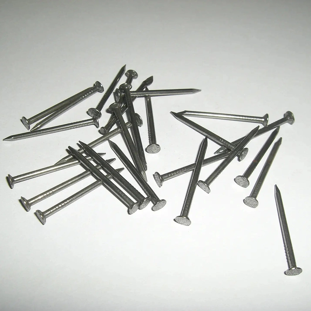 Construction Nail/Steel Nail/Ring Pattern/Common Iron Nail for Building Materials (manufacturer)