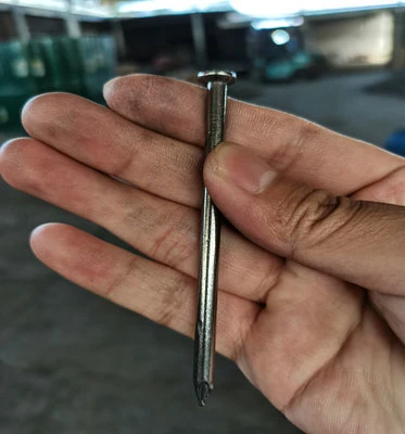 Galvanized Concrete Nail with Different Size for Construction