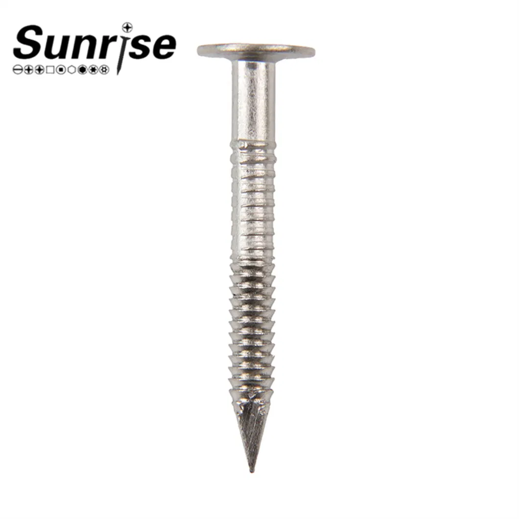 Stainless Steel Loose Nails Screw