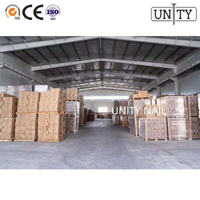 Factory of Wire Screw Coil Nails for Wood Pallet