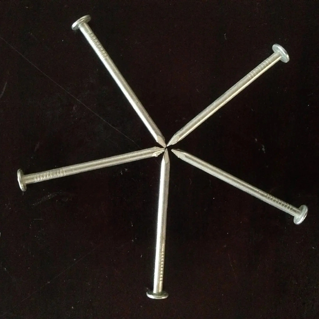 Construction Nail/Steel Nail/Ring Pattern/Common Iron Nail for Building Materials (manufacturer)