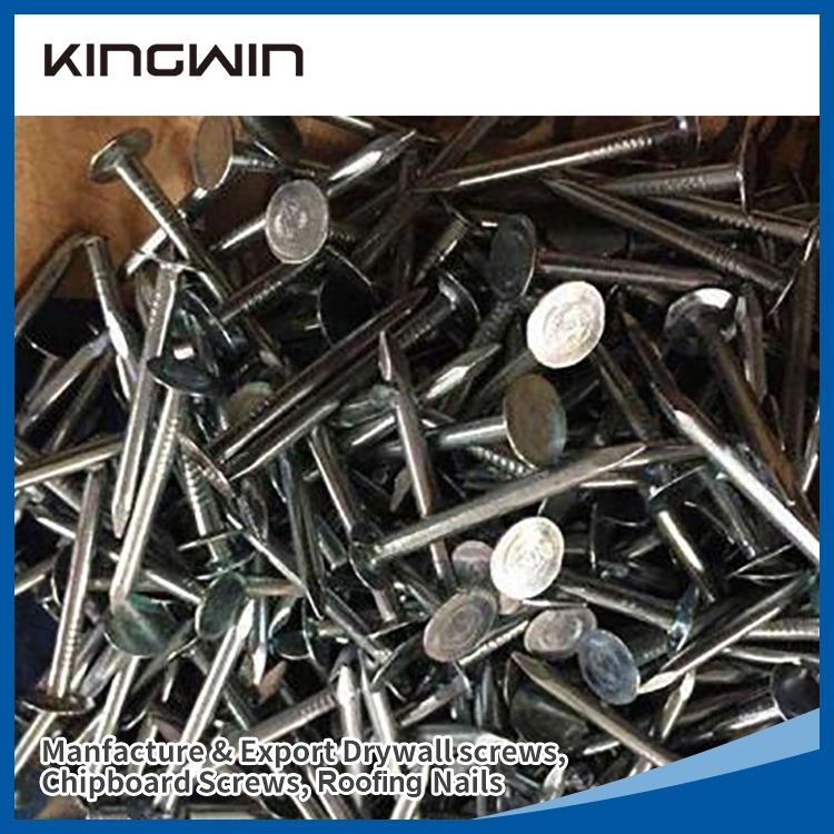 Galvanized Twisted Shank Umbrella Head Roofing Nails for Africa Market with SGS Approved and Best Quality