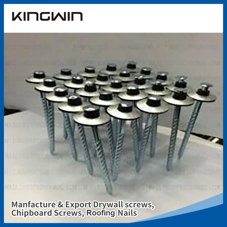 Galvanized Twisted Shank Umbrella Head Roofing Nails for Africa Market with SGS Approved and Best Quality