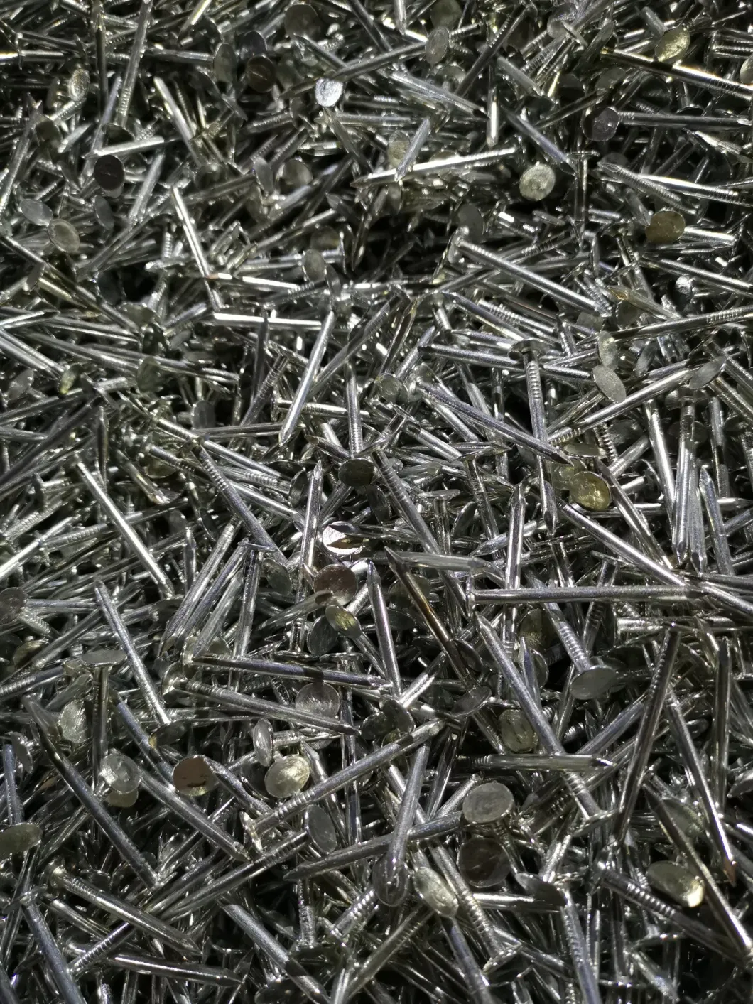 Top Class Harden Electric Galvanized Clout Nail for Construction