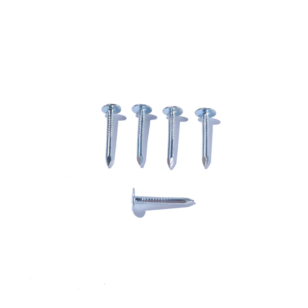 1 Inch High Quality Galvanized Large Flat Head Zinc Coating Iron Clout Nails Roofing Ceiling Nails