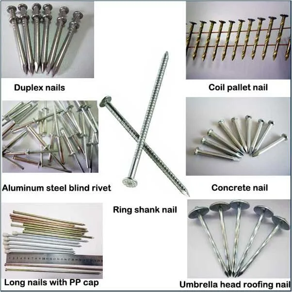 45# Steel Smooth Flute Shank Cement Galvenized Concrete Nails