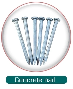 Shim Corrugated Roofing Nail with Umbrella Head