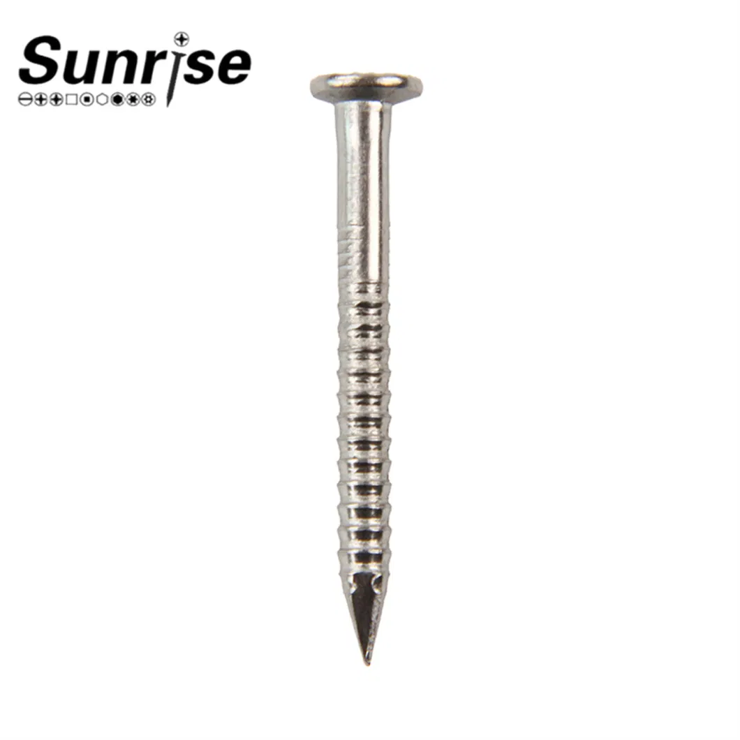 Stainless Steel Shank Nails Screws