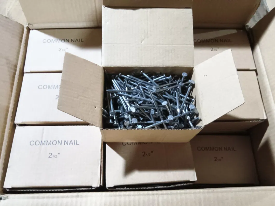 Galvanized Steel Smooth Shank Common Nails