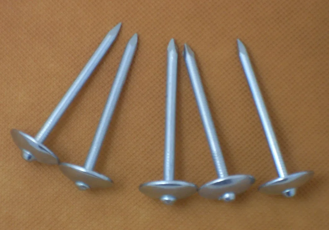 Direct Manufacturer Galvanized Umbrella Head Roofing Nail