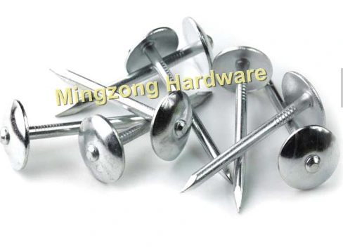 Umbrella Head Roofing Nail with Rubber Washer/Common Wire/ Cupper/Steel Concrete Nail/Cheap Common Nails/Concrete Steel Nail /Iron Nail/Polished Wire Nail/Commo