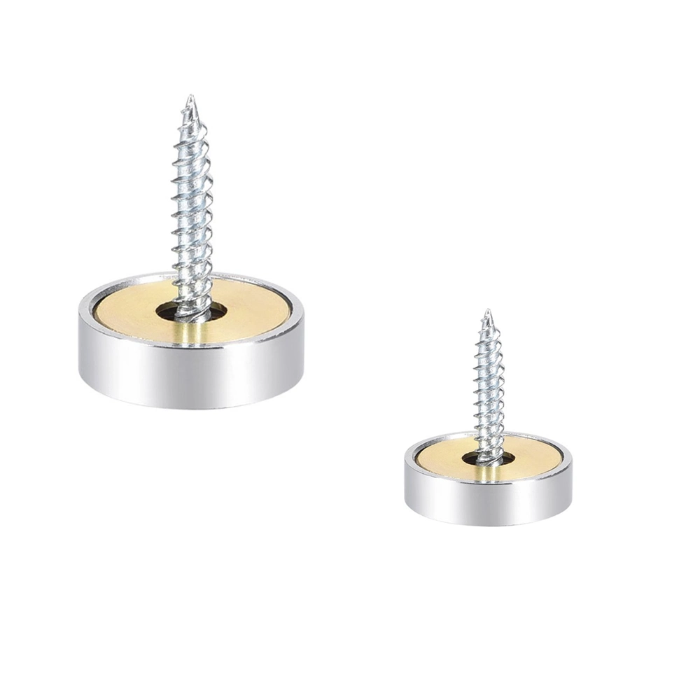 Custom Mirror Screws Mirror Finished Screw Caps Decorative Caps Cover Nails Polished Stainless Steel 20mm