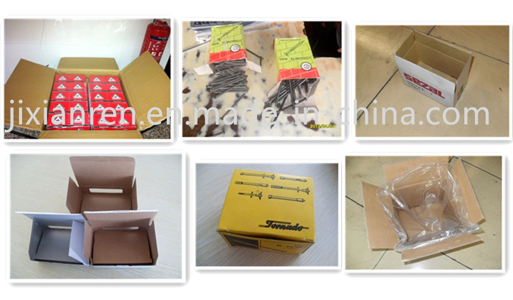 25kg/Carton Bright Common Wire Nails