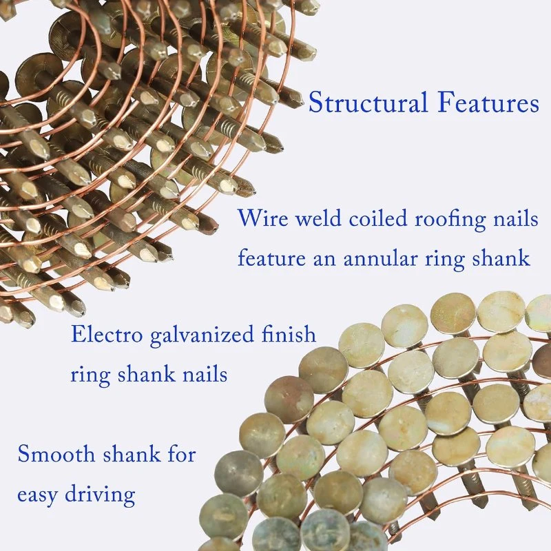 Smooth/Twisted//Screw/Spiral Shank Wire Coil Roofing Nail/Coil Nail/Strip Nail/Framing Nail/Pallet Nail for Construction