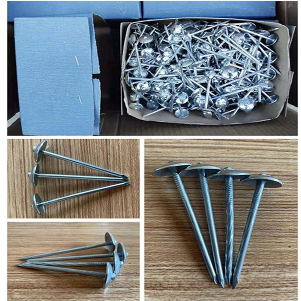 Umbrella Head Roofing Nail/Blue and White Zinc Plated/Color Zinc Corrugated Nails