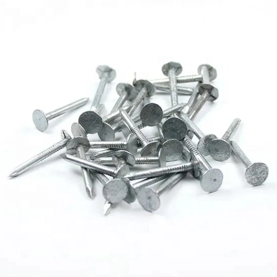 Hot Dipped Twisted Shank Galvanized Umbrella Head Roofing Nails