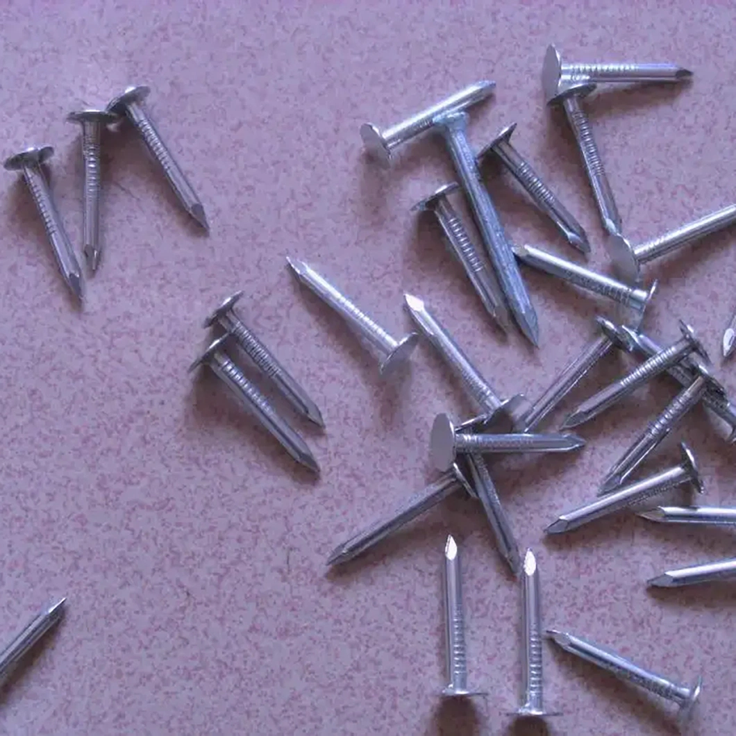 Waterproof Roof/Electric Galvanized/Round Head/Ring Diamond Tip/Linoleum Nails