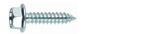 High Quality Zinc-Plated Steel Fasteners Hardware Self Tapping Metal Screw/Nail Made in China