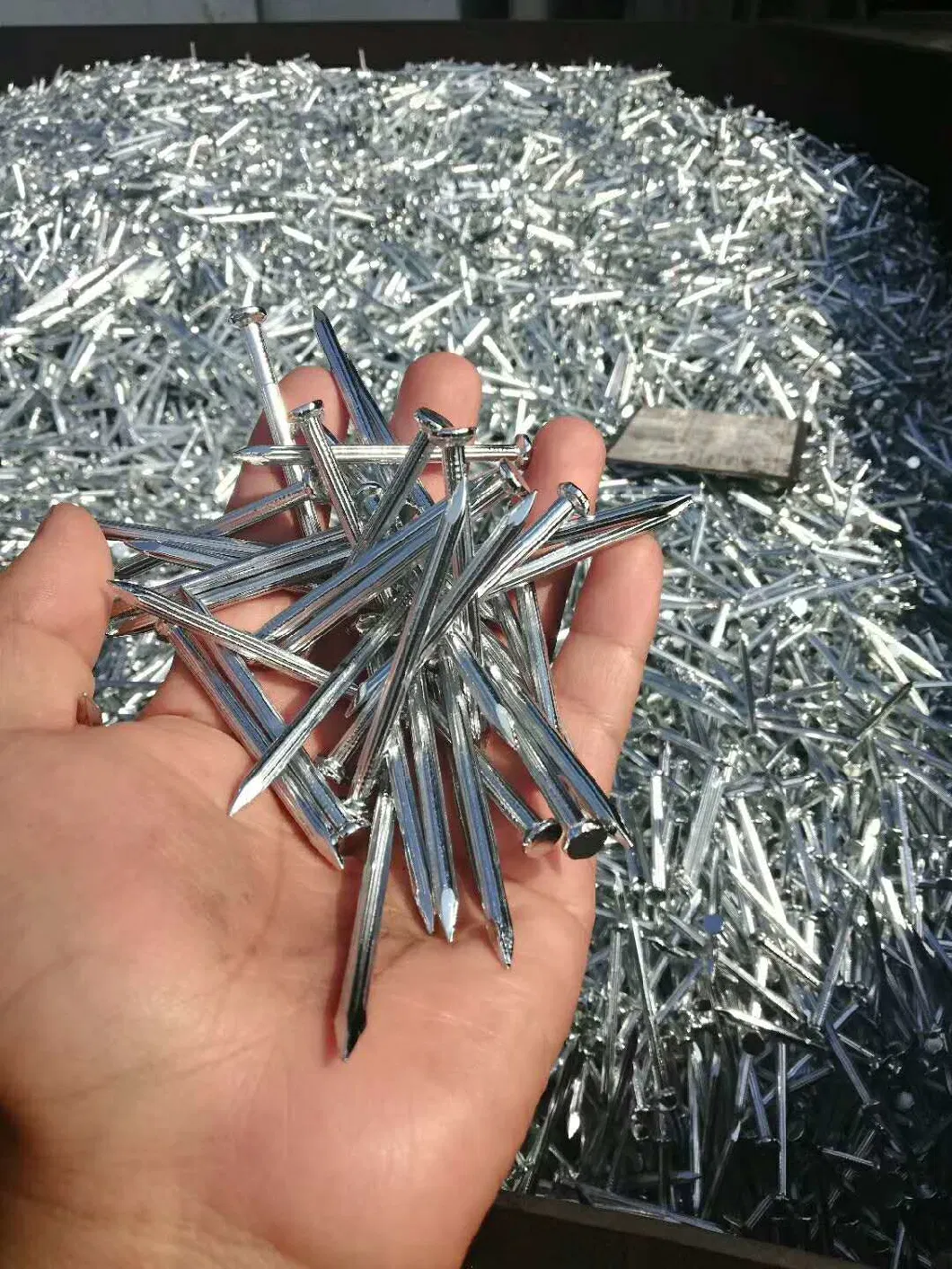 High Quality Galvanized Harden Concrete Steel Nails