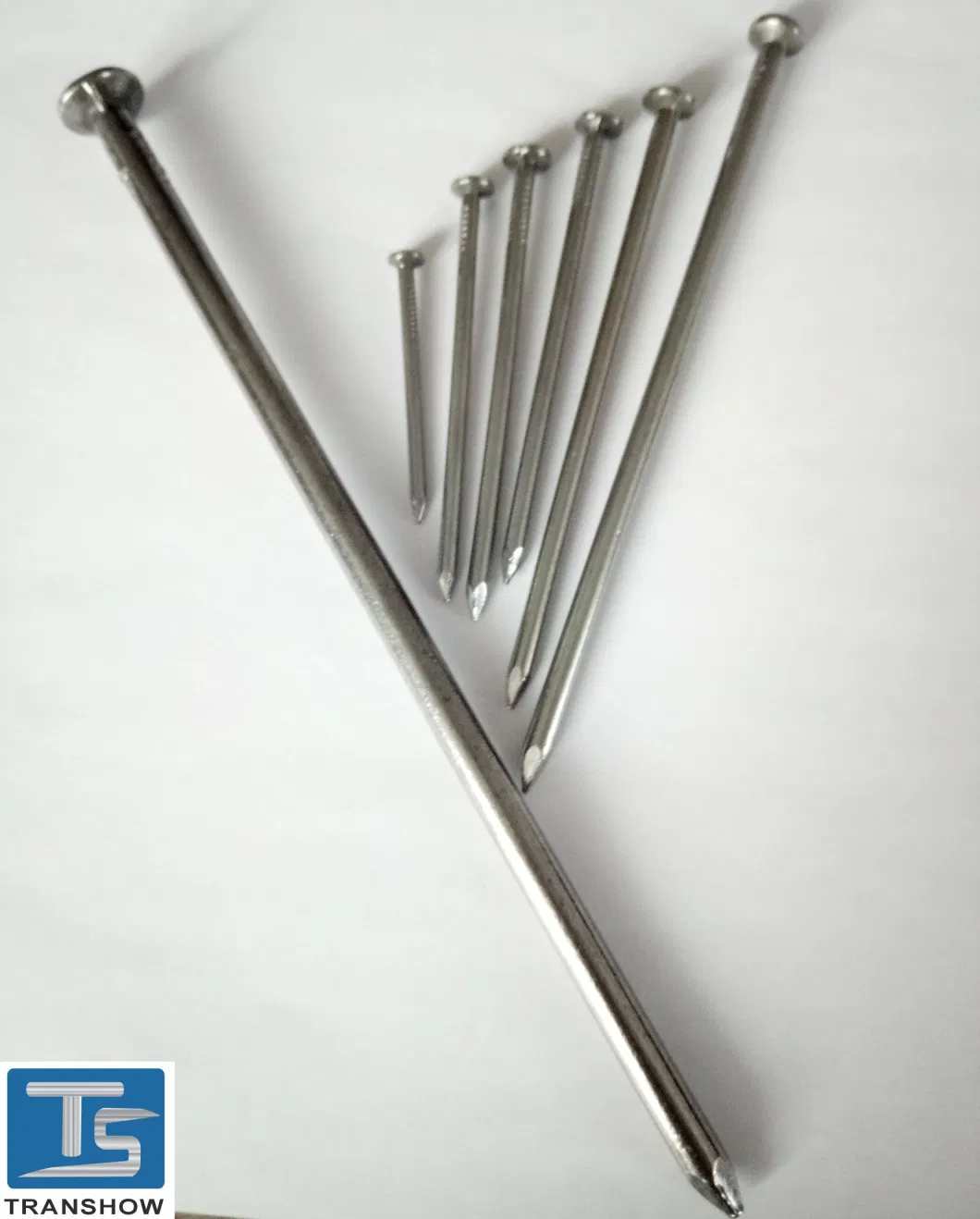 Galvanized Steel Smooth Shank Common Nails