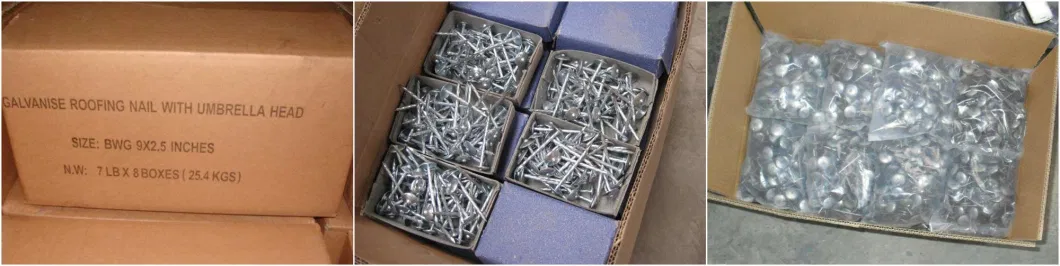 Roofing Screw Nails Plain Plastic Cap Ring Shank Galvanized Roofing Nail with Washer Plastic Caps Umbrella Head Roofing Nail