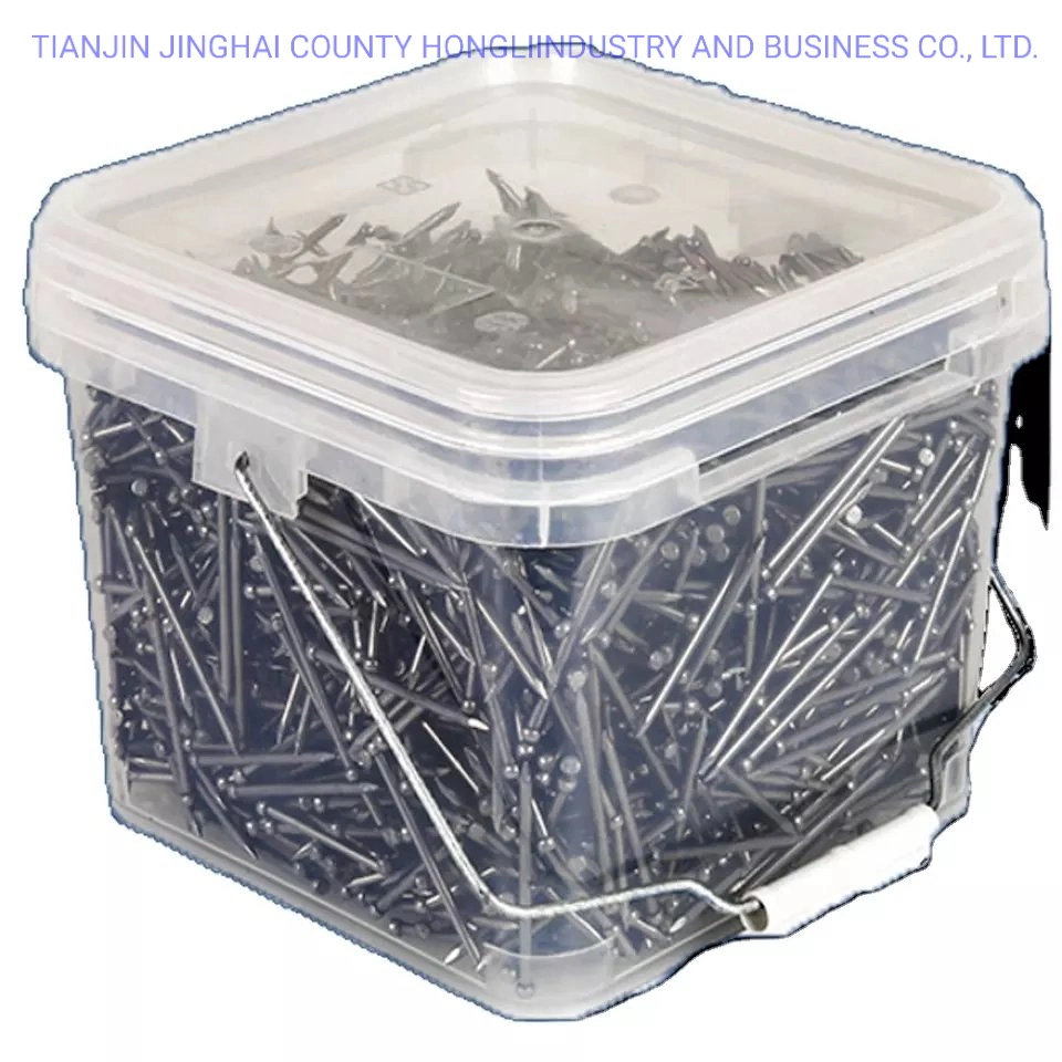 Common /Square Boat /Roofing/Duplex /Plastic Cap /Concrete /Coil /Clavo/Prego Nails