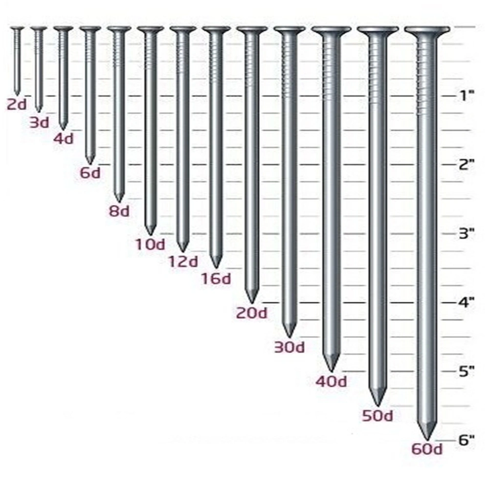 1 Inch-6 Inch Common Nails for Framing, Carpentry and Construction