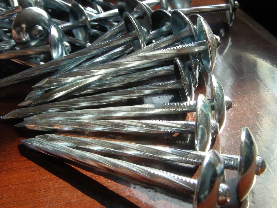 Ring / Q195 / Color Galvanized / Roofing Nails/Hot-DIP Galvanized /9bwg/Corrugated Nails