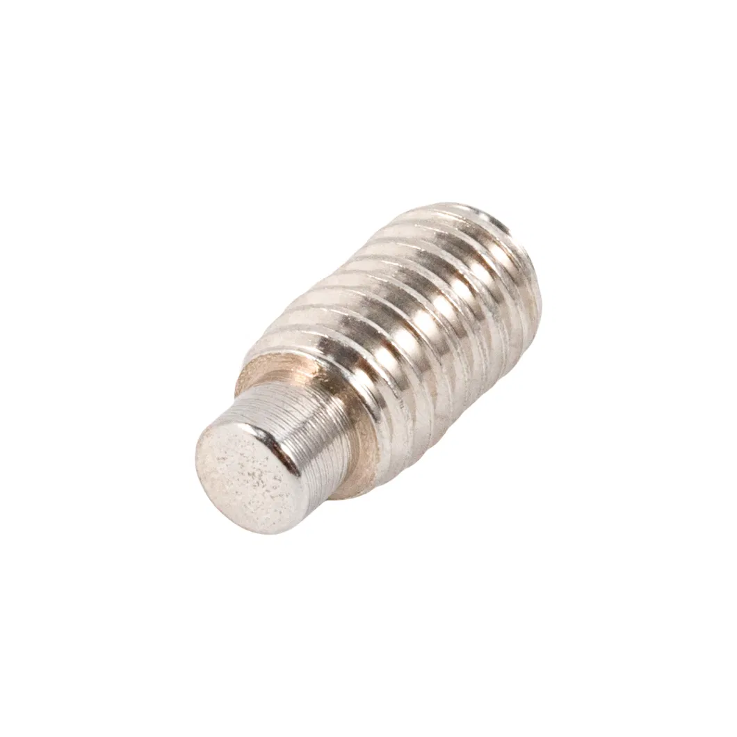 Stainless Steel Cylindrical Pins with External Thread Slotted Headless Screw