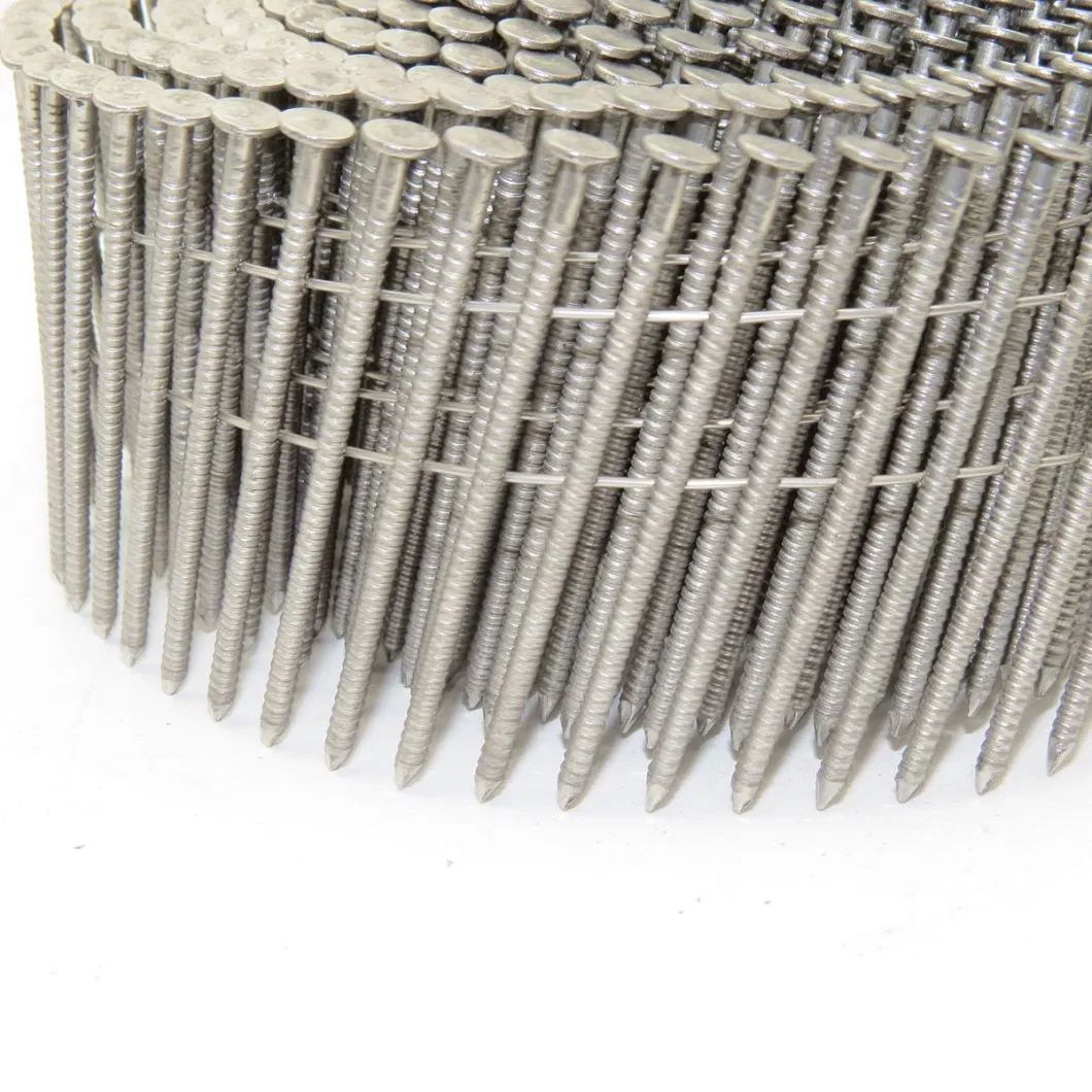 High Quality Stainless Steel Collated Coil Nails