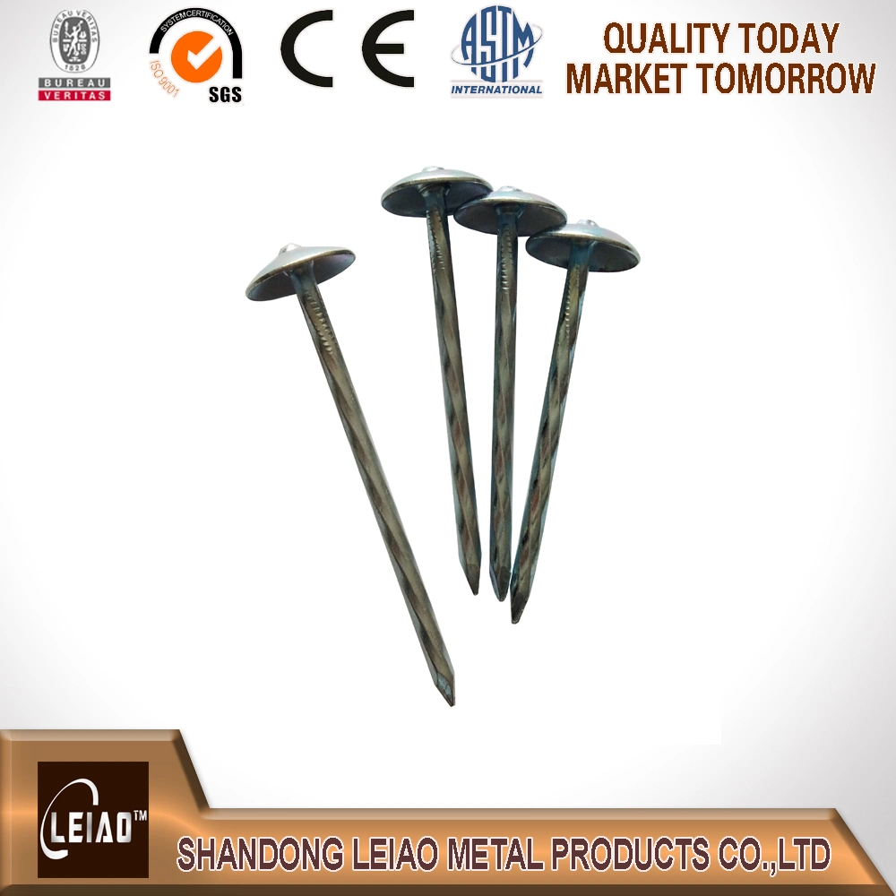 All Sizes Roofing Nail with Umbrella Head Twisted/Smooth Shank