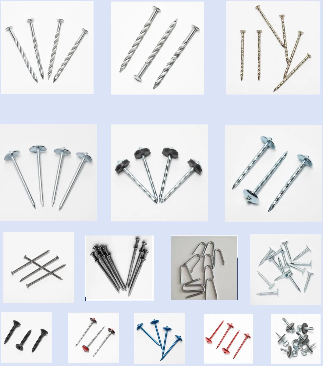 Factory Supplier Nails Common Iron Nails