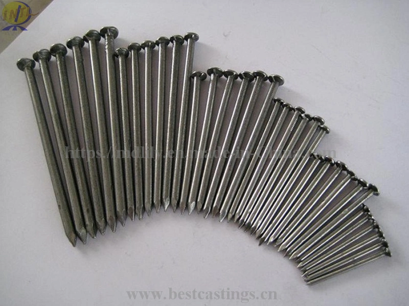 High Quality Galvanized Steel Concrete Nails