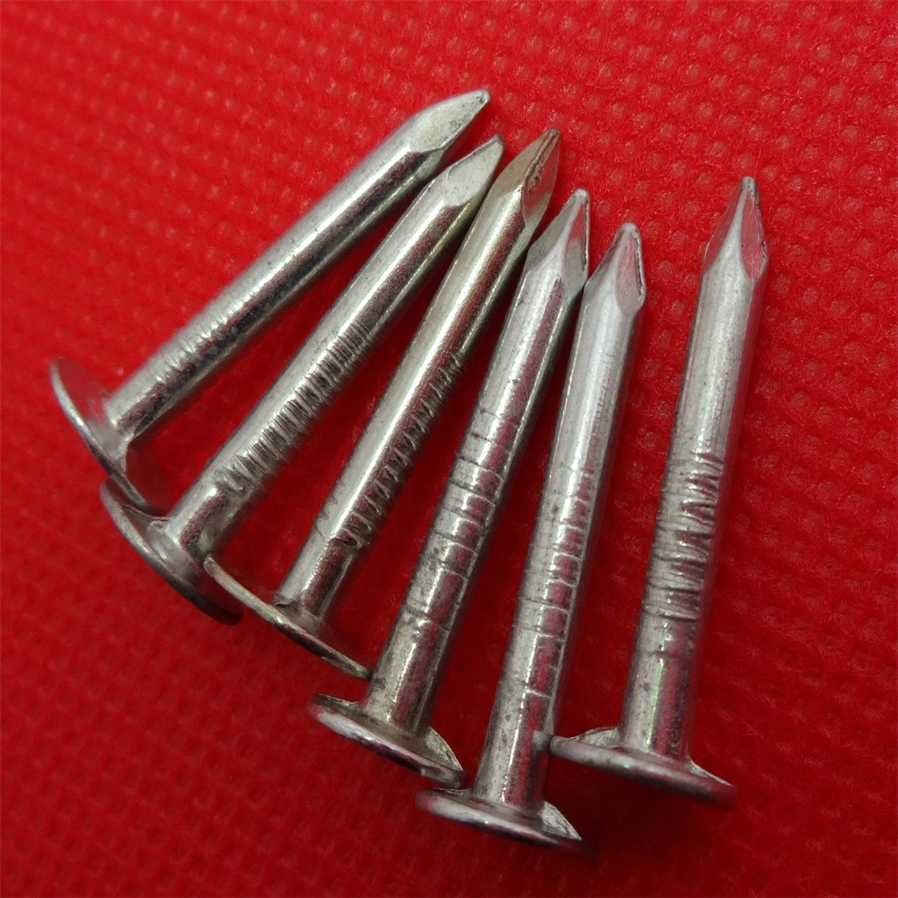 Galvanized Polish/Flat Cap Round Rod Diamond Tip/Linoleum Nail