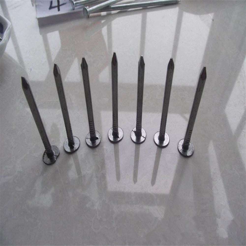 Galvanized Polish/Flat Cap Round Rod Diamond Tip/Linoleum Nail