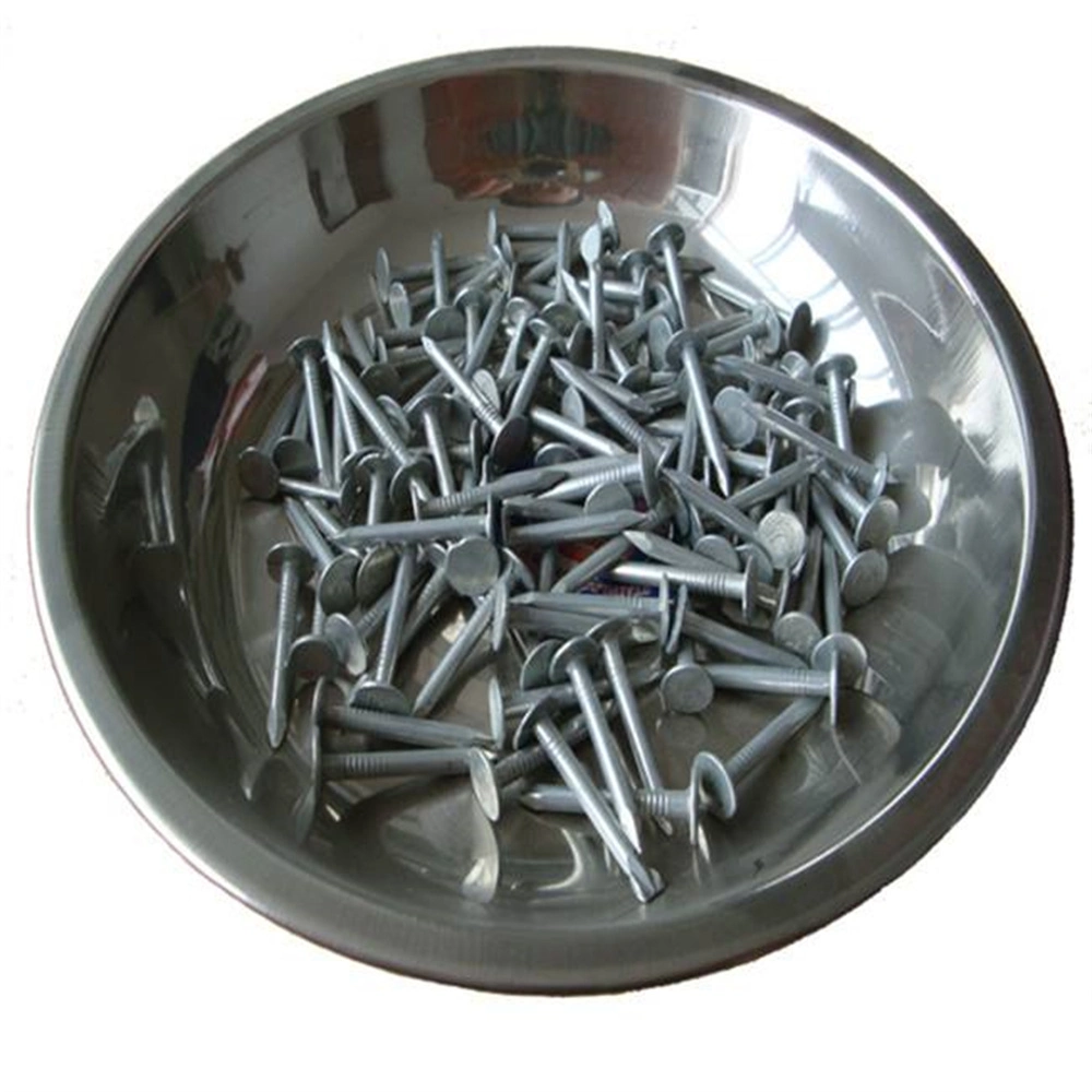 Galvanized Polish/Flat Cap Round Rod Diamond Tip/Linoleum Nail