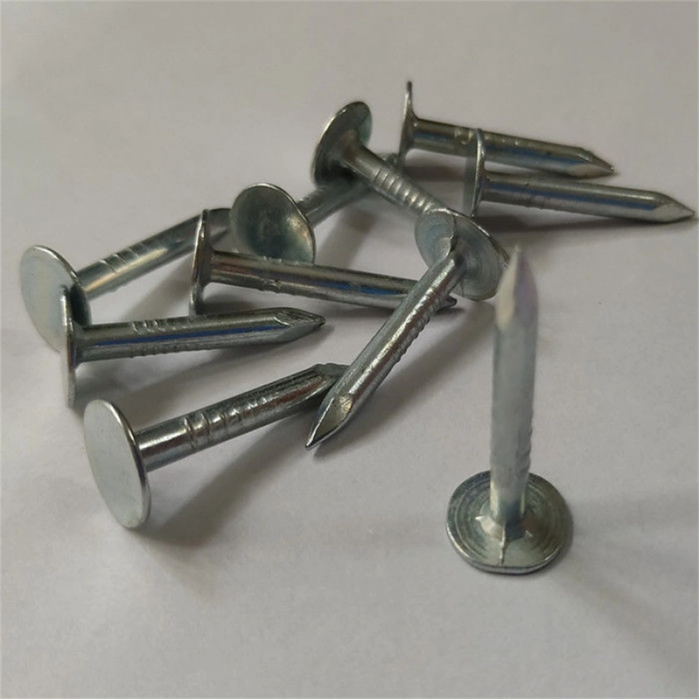 Galvanized Polish/Flat Cap Round Rod Diamond Tip/Linoleum Nail