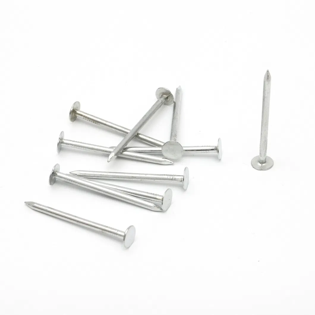 Duplex Nail Polished 17X27 Cabe&Ccedil; a Dupla Double Head Nails with Smooth Shank for Building and Construction