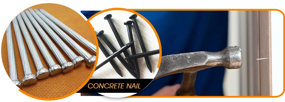 Galvanized Steel Masonry Nail Steel Concrete Nail