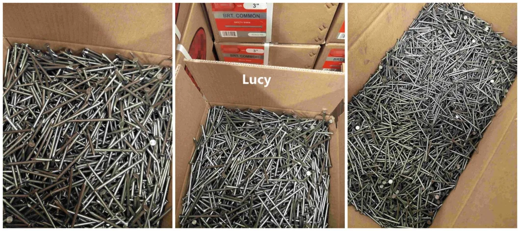 4 in X 8 Gauge Bright Finish Large Head Flat Head Nails with 25kg Box