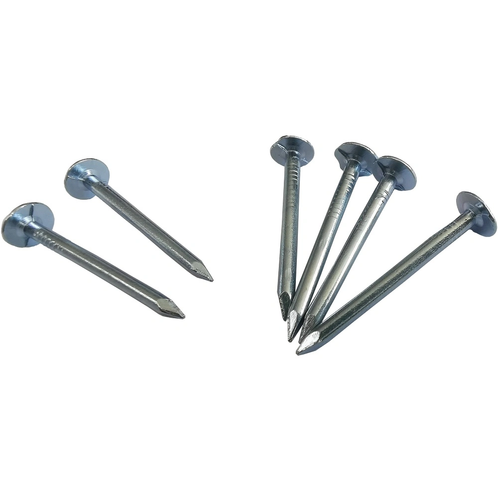 Blue Zinc Coated Clout Nail for Construction with Competitive Price